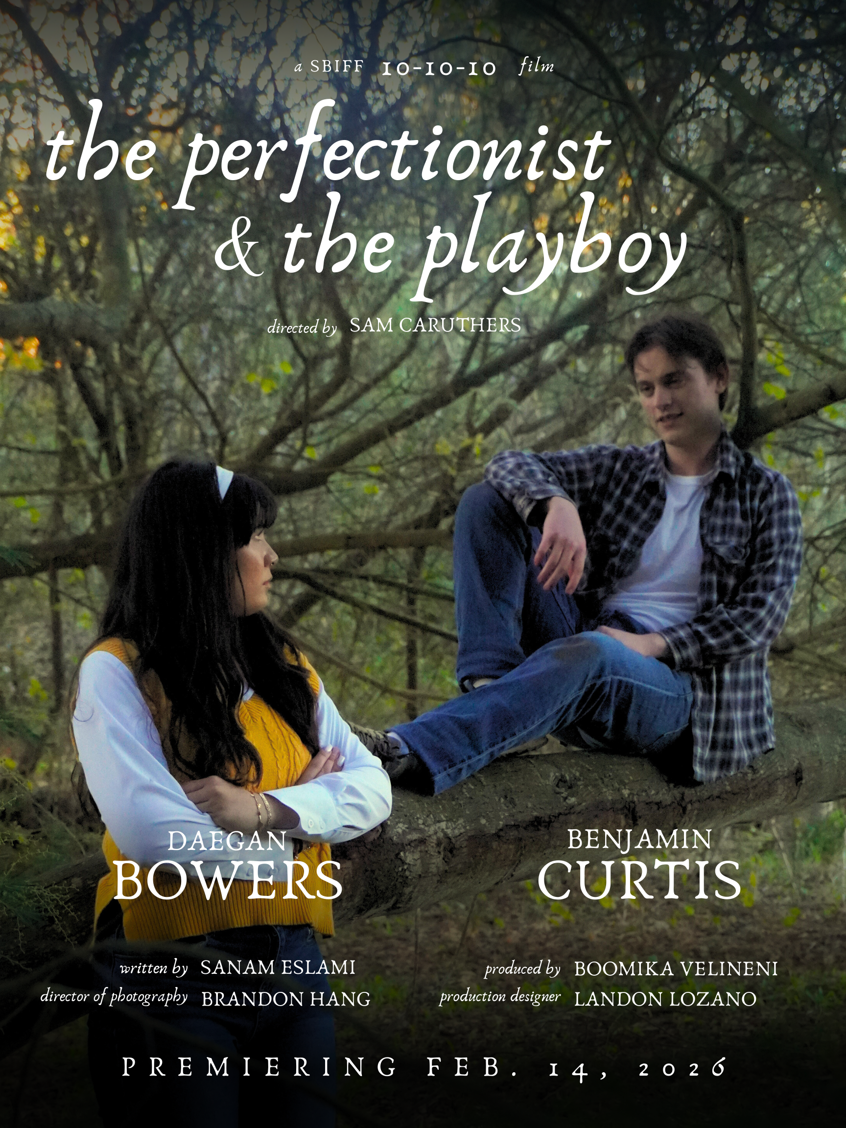 Poster for The Perfectionist and the Playboy